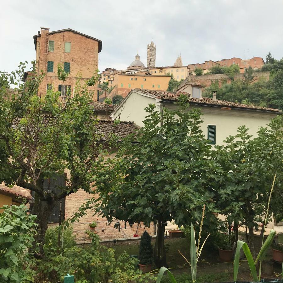 Ferienwohnung To dream in Siena Exterior foto